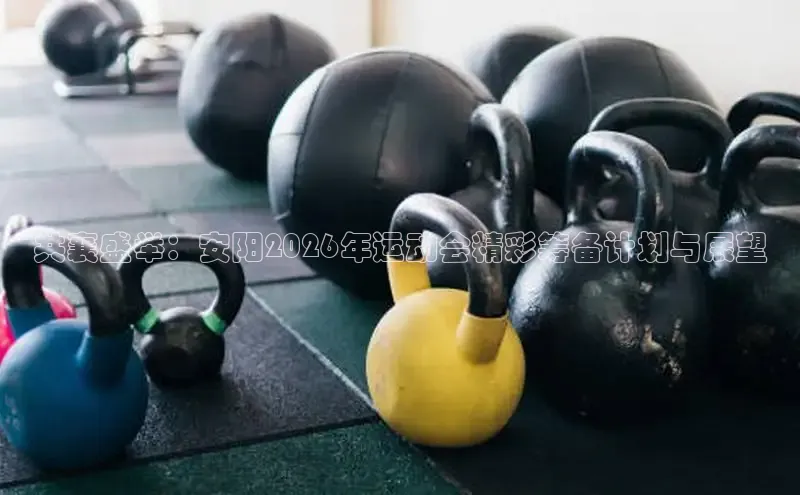 飞速体育